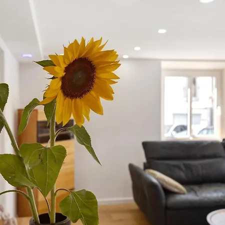 Am Hochrhein Desko Gailingen am Hochrhein