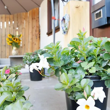 Apartament Am Hochrhein Desko Gailingen am Hochrhein